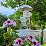 Cuorconero Apartmán Marcelli