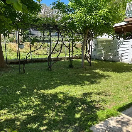 Cuorconero * 马瑟利