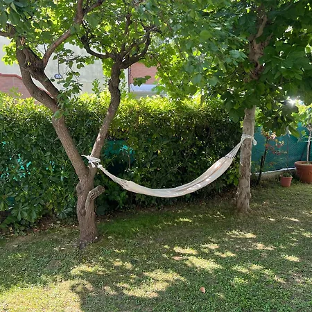 Cuorconero * 马瑟利