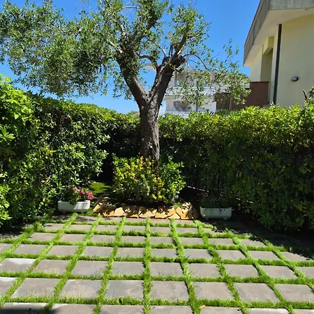 Cuorconero Apartmán *