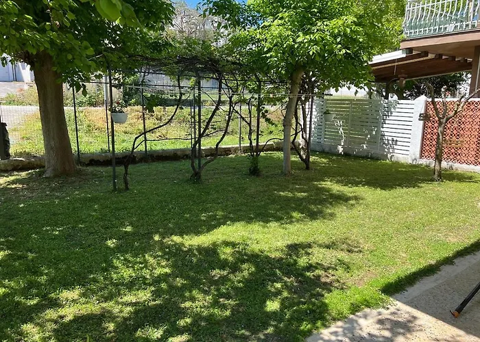 Cuorconero * 马瑟利