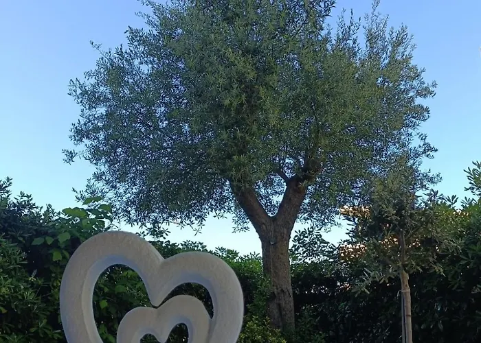 Cuorconero *
